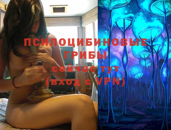 прущая мука Богданович