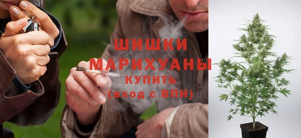 прущая мука Богданович