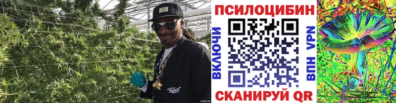 Псилоцибиновые грибы ЛСД  Дудинка 